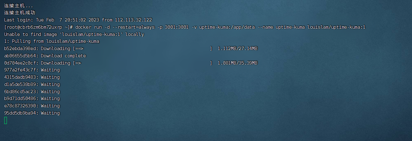 图片[1]-使用docker快速搭建网站监控程序：uptime-kuma-十七博客网