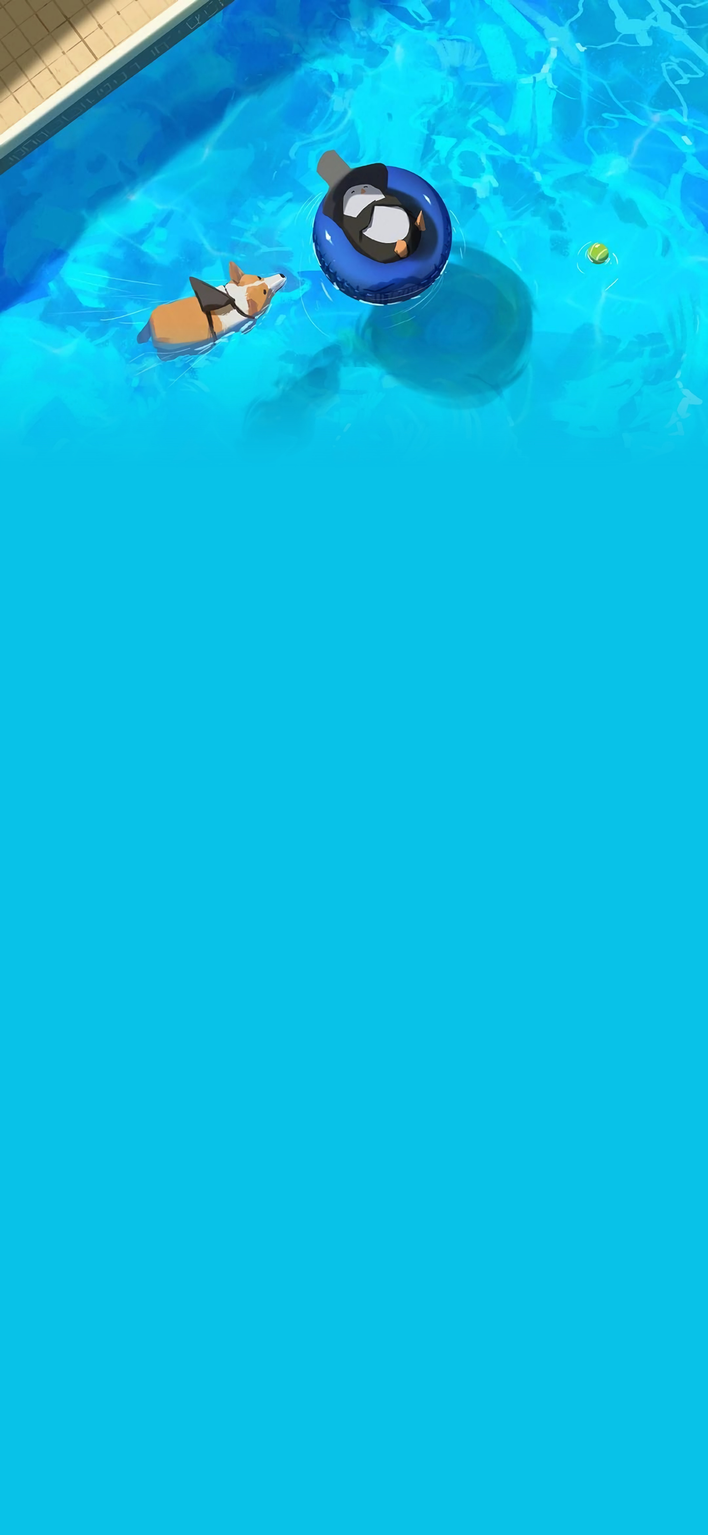 图片[1]-美图分享：狗子的幸福生活-十七博客网