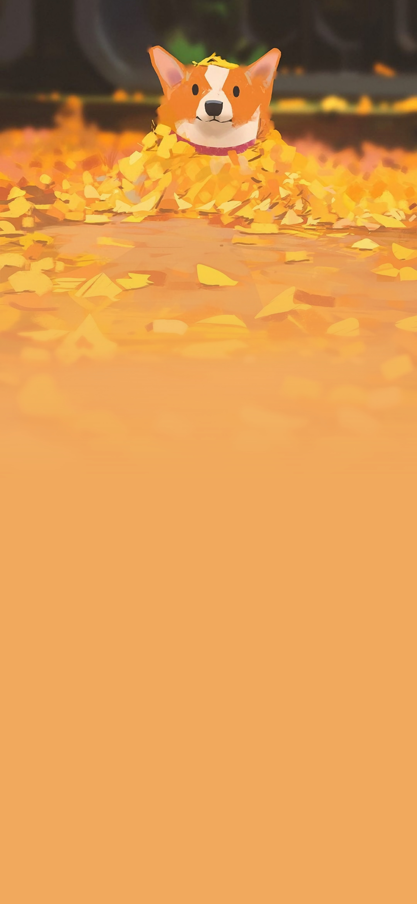 图片[4]-美图分享：狗子的幸福生活-十七博客网