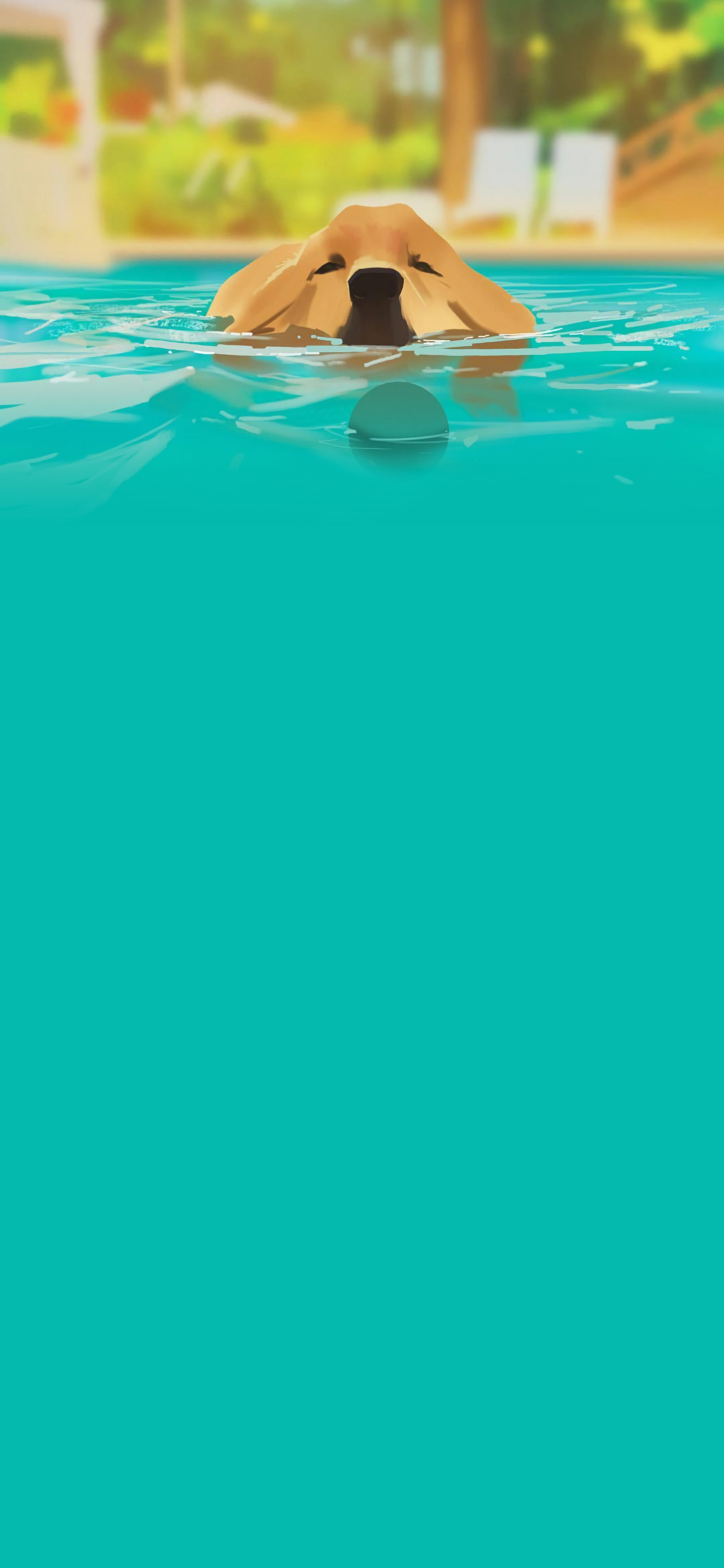 图片[7]-美图分享：狗子的幸福生活-十七博客网