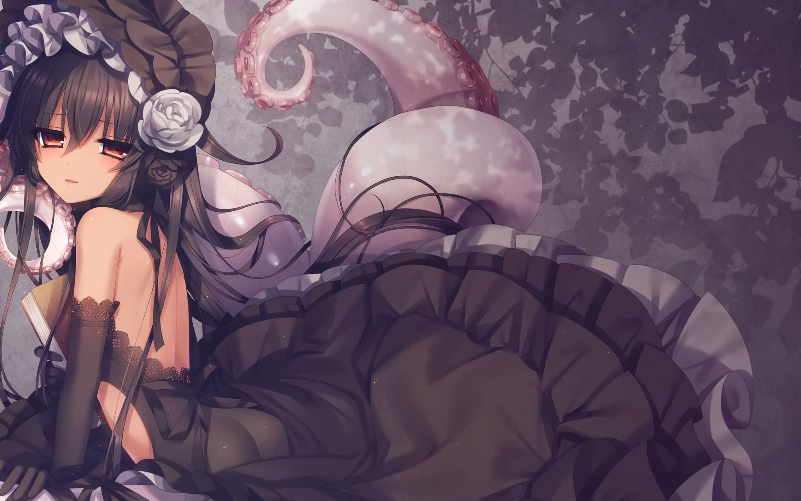 小白建站我为什么更推荐使用WordPress而不是typecho？-十七博客网