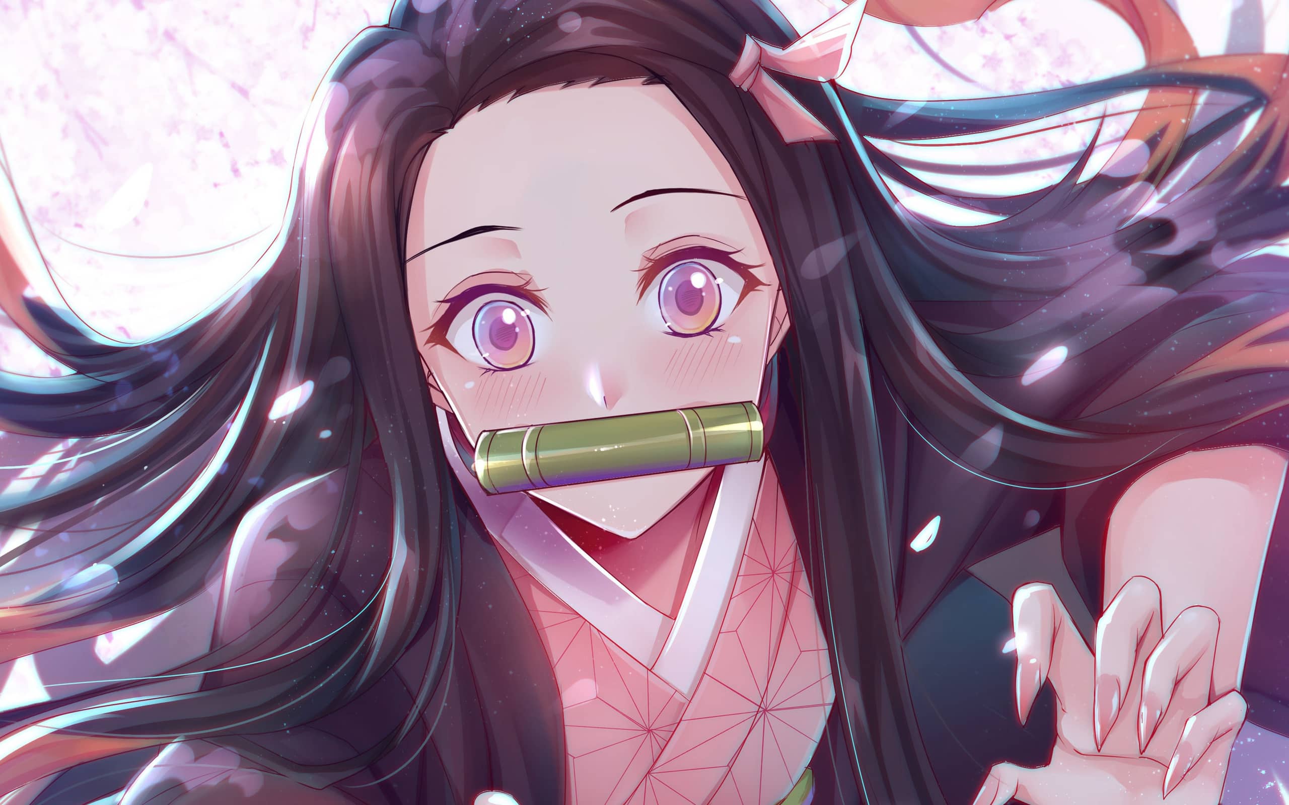 新版windows版QQ公测开始招募,快来报名-十七博客网