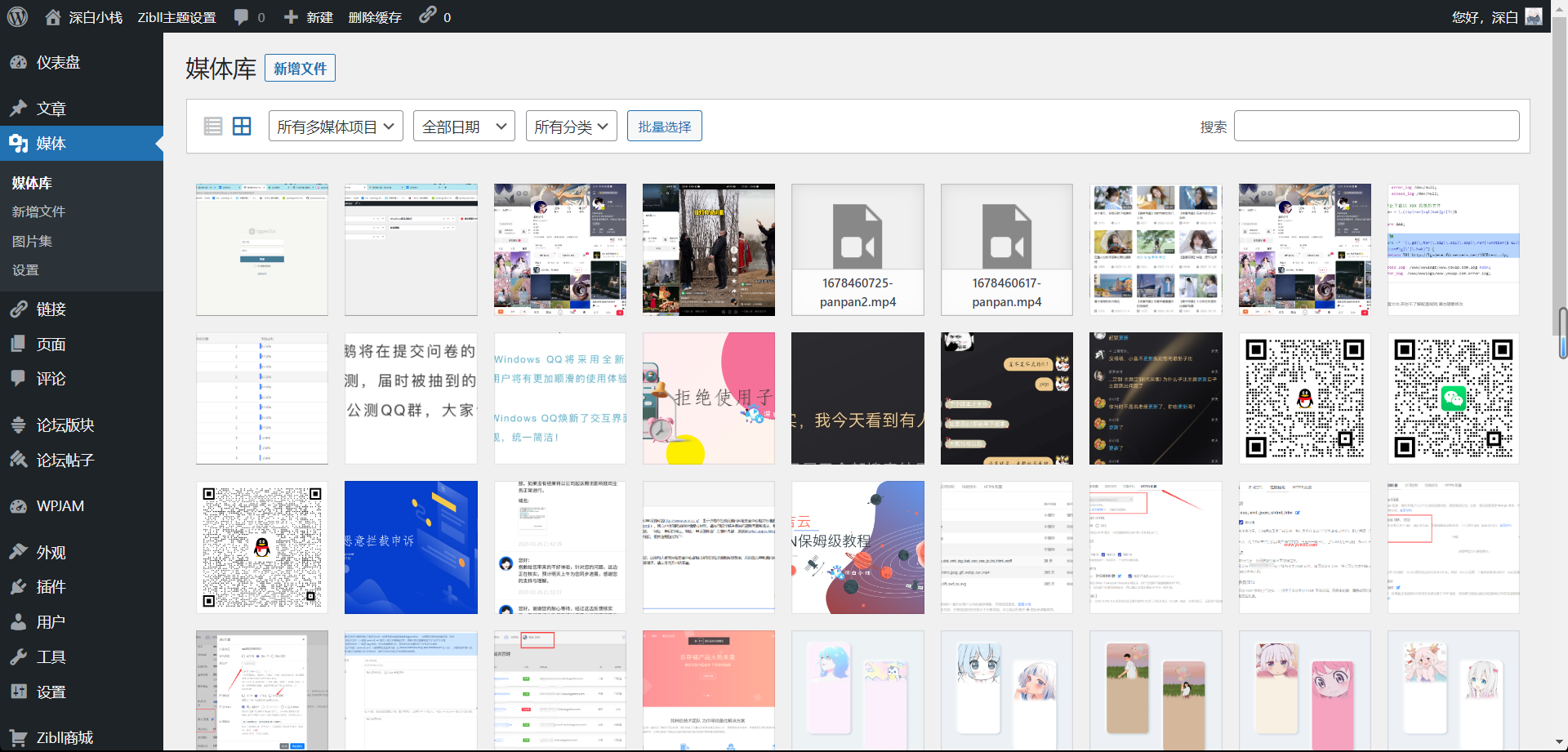 小白建站我为什么更推荐使用WordPress而不是typecho？