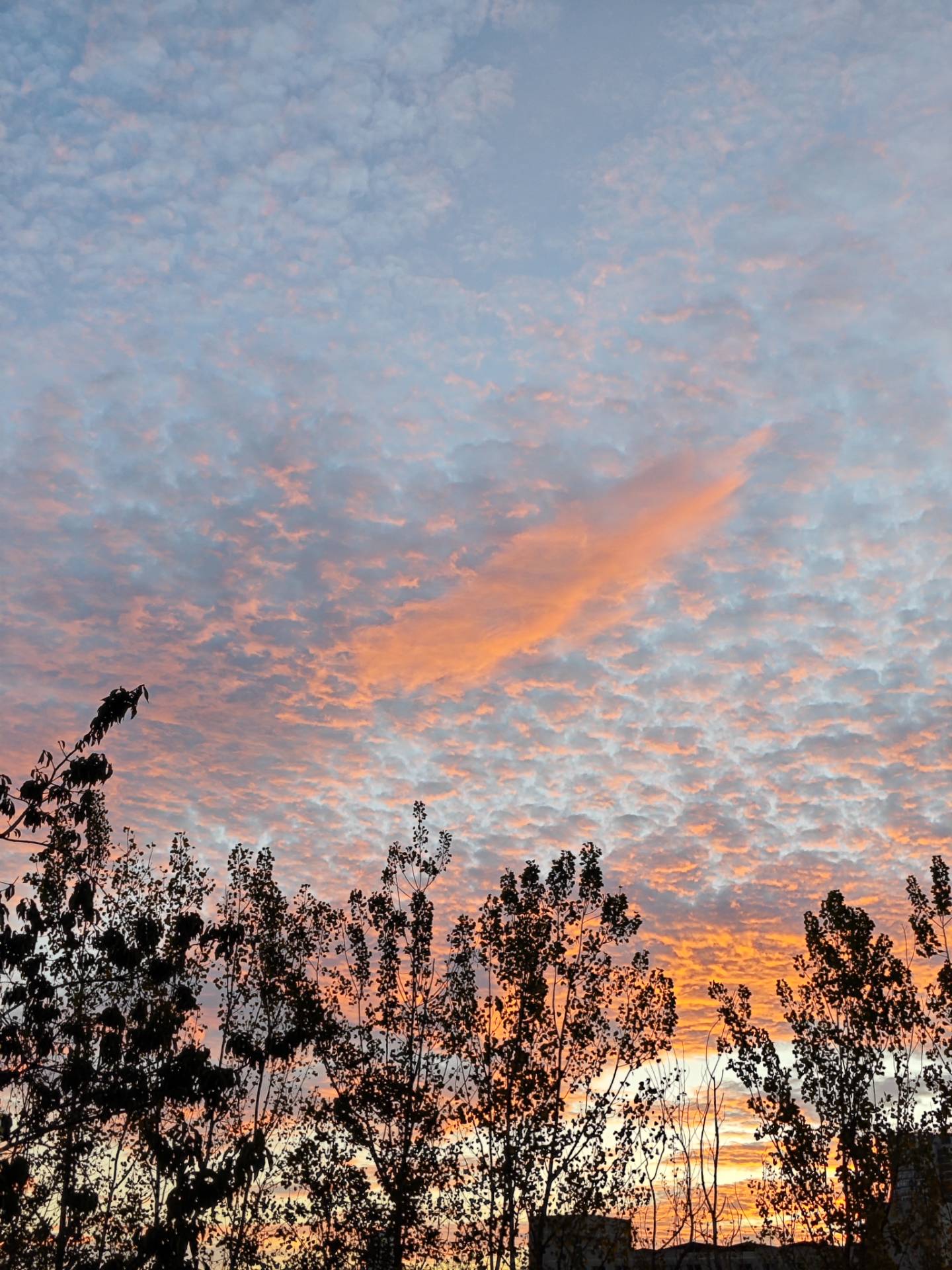 图片[7]-关于小破站过去发展以及未来规划