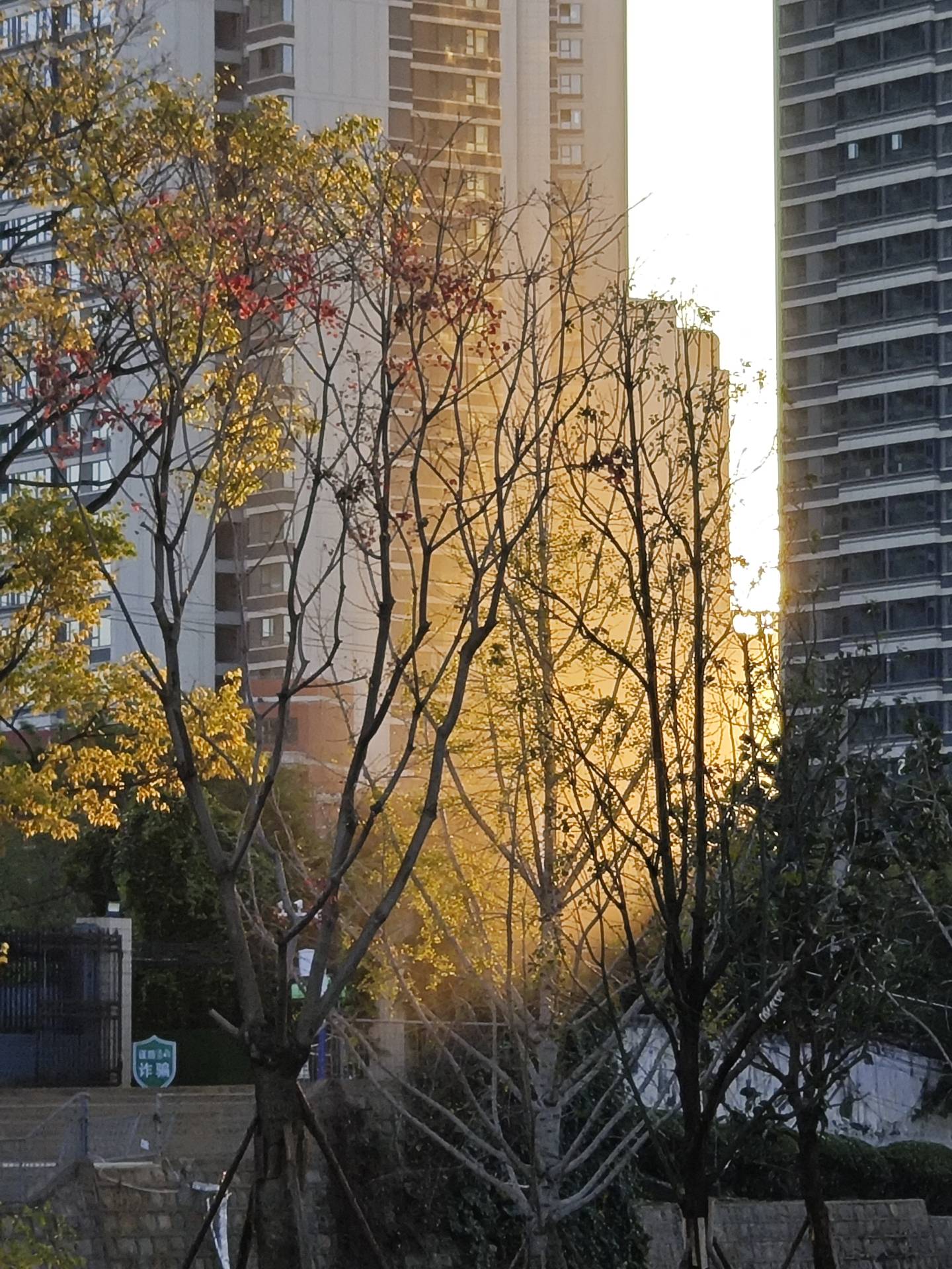 图片[6]-关于小破站过去发展以及未来规划