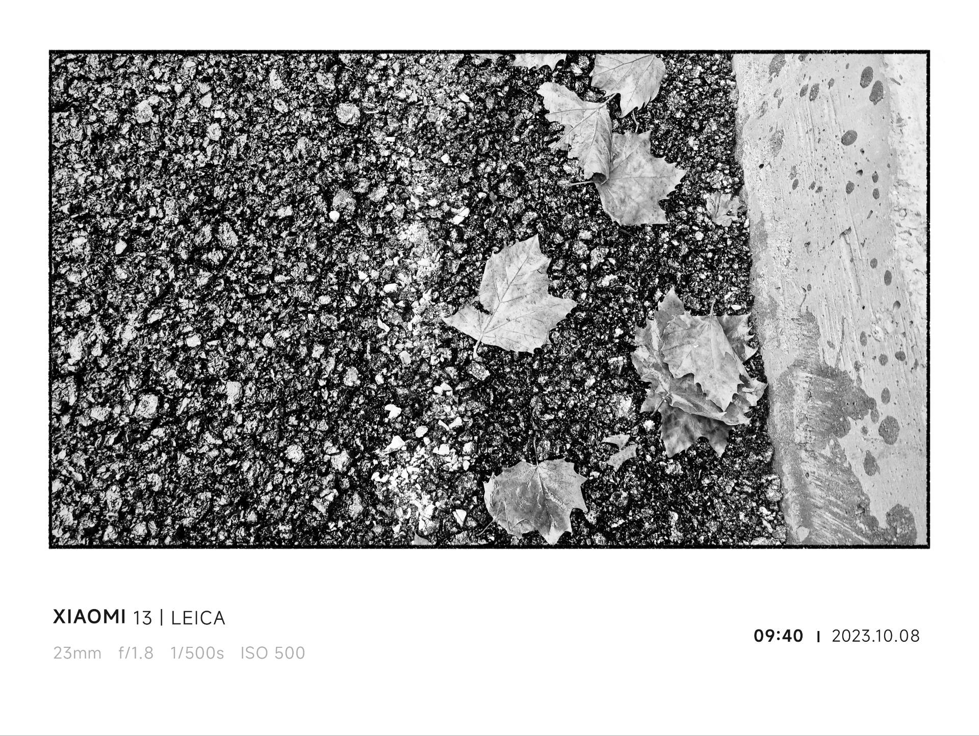 图片[11]-关于小破站过去发展以及未来规划