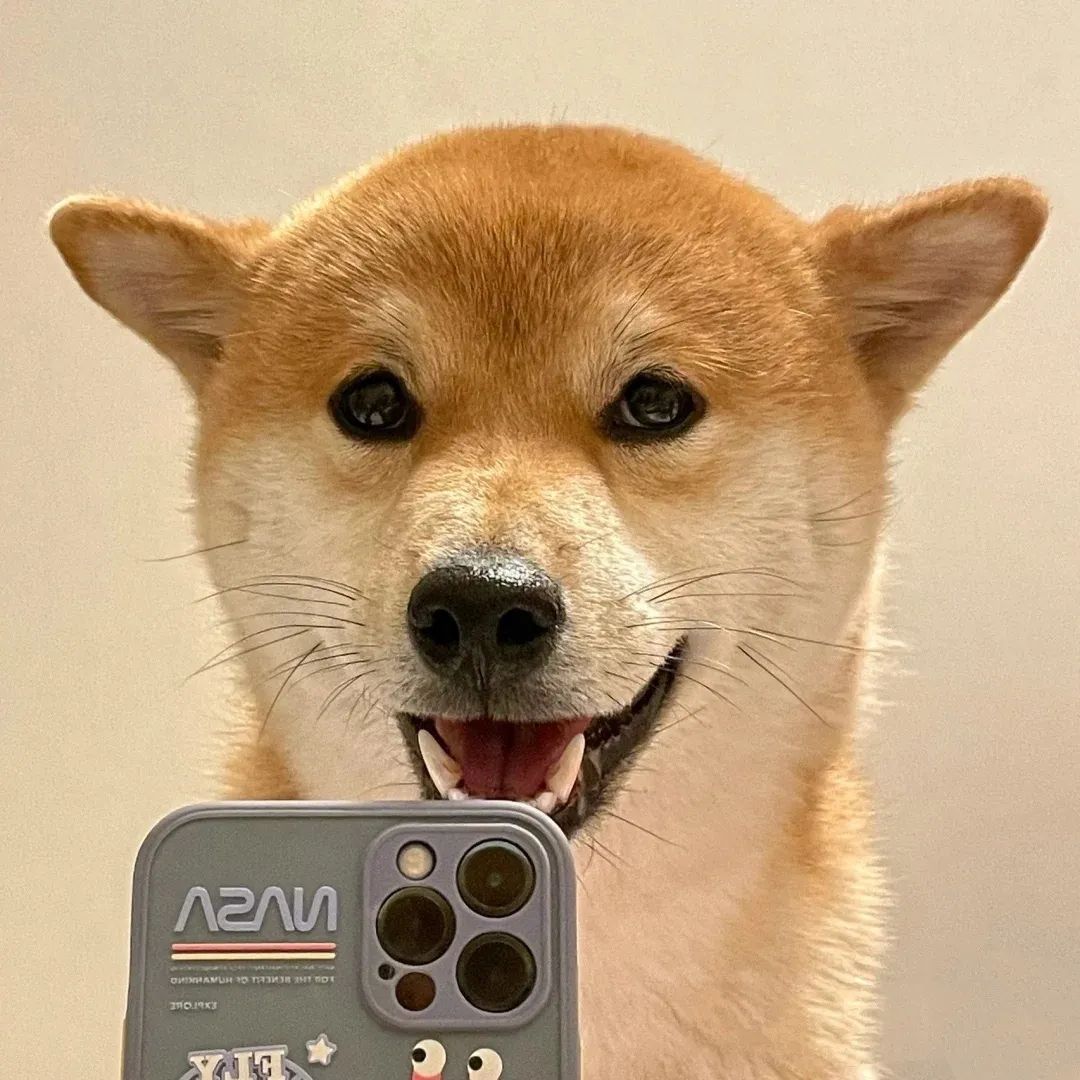 图片[8]-可爱猫猫头像