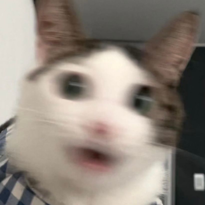 图片[12]-可爱猫猫头像