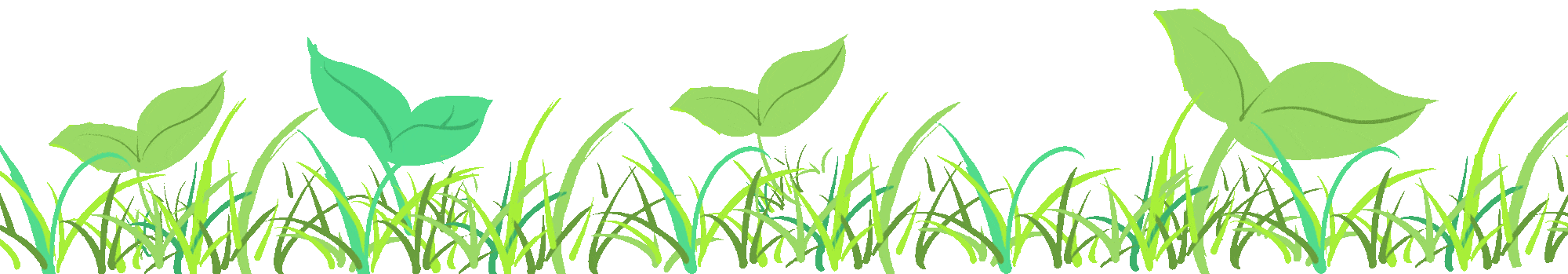 云十七网-让新鲜教程早知道