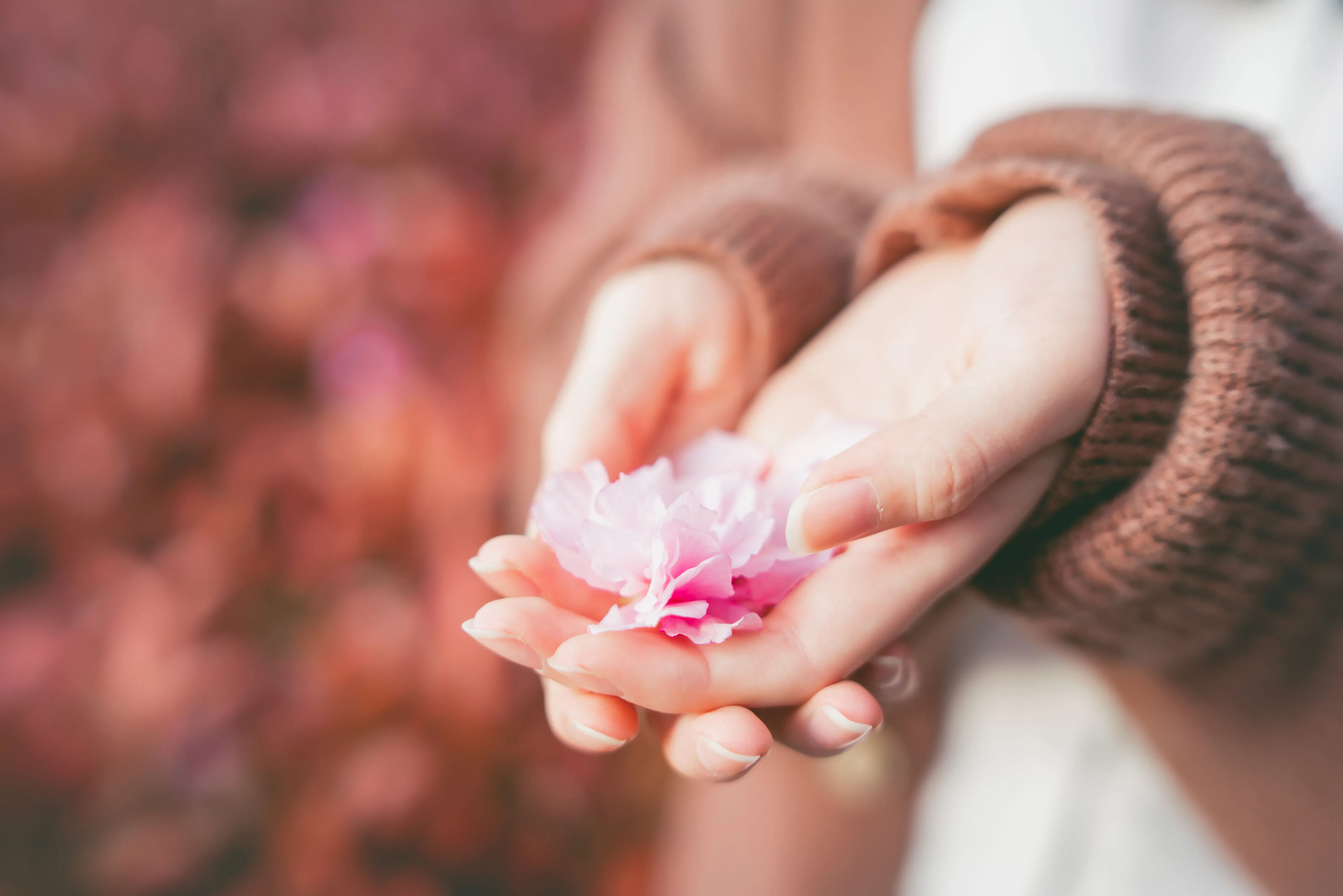 图片[16]-写真分享：想和你一起在四月吹春风-十七博客网