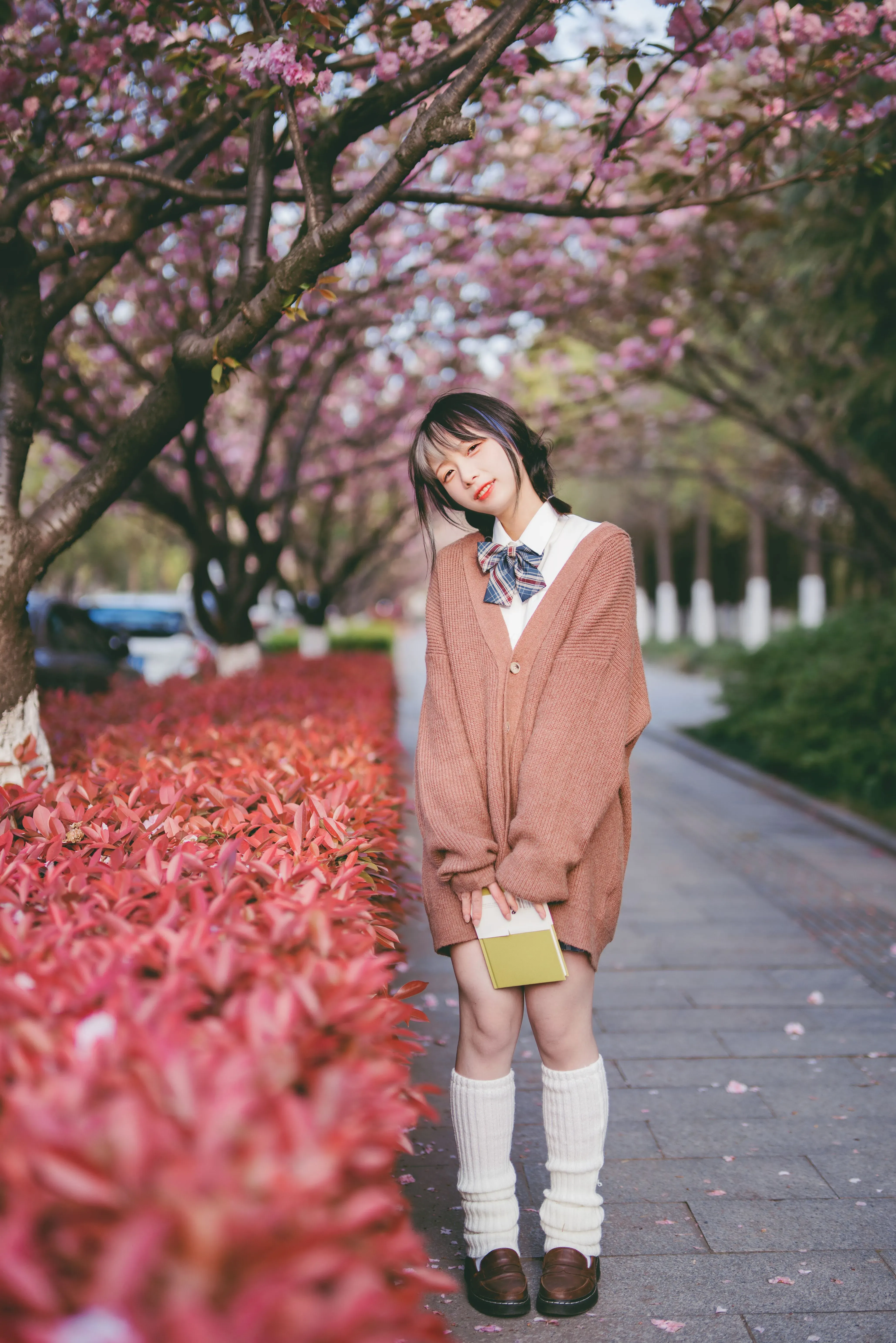 图片[12]-写真分享：想和你一起在四月吹春风-十七博客网