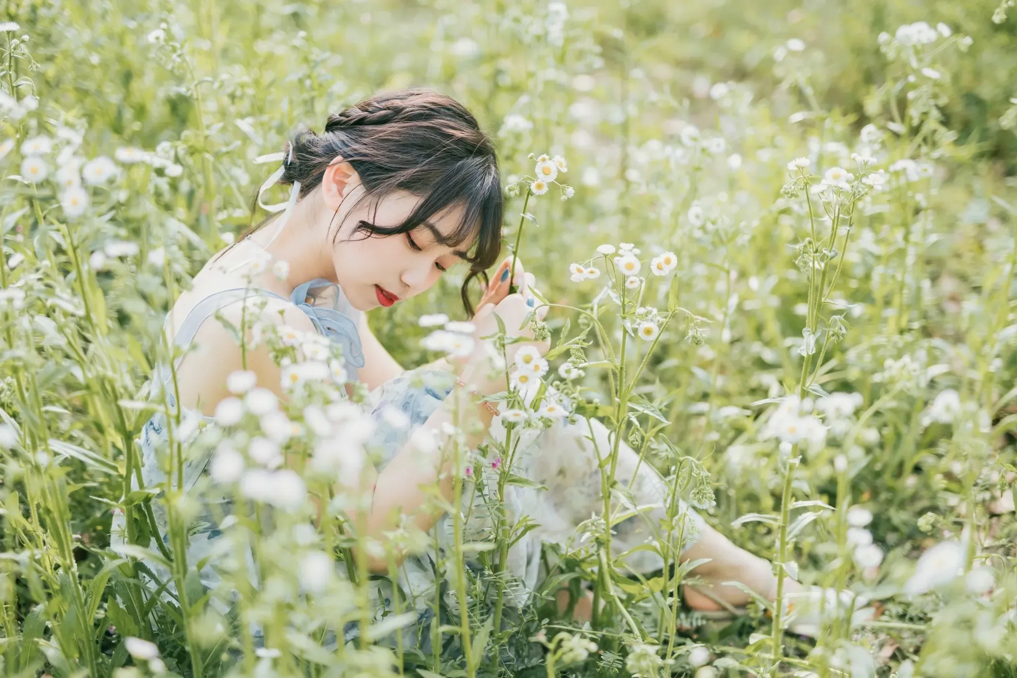 摄影写真：小白花——人皆苦炎热，我爱夏日长-十七博客网