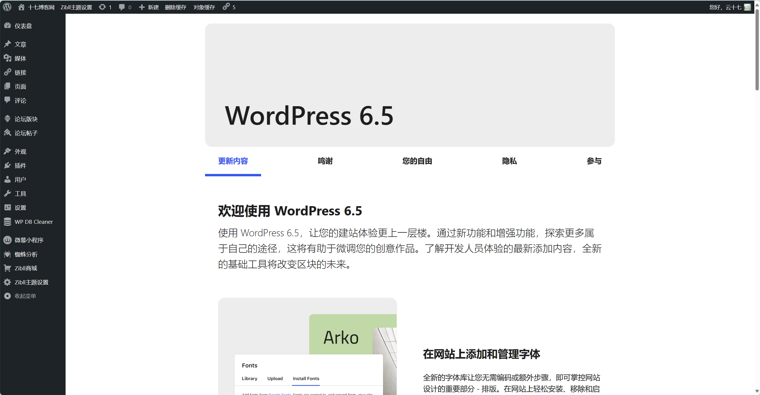 图片[2]-WordPress 发布了 6.5 正式版版本-十七博客网